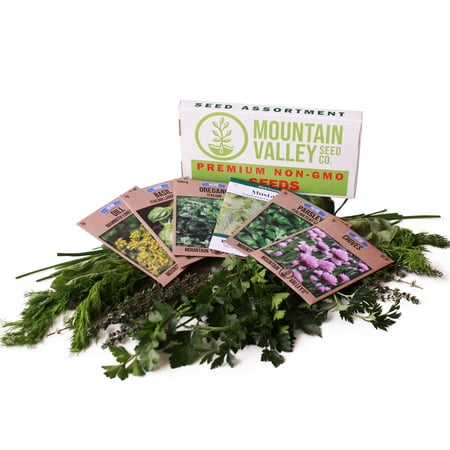 Culinary Herb Garden Seeds Collection - Basic Assortment - 6 Non-GMO Seed Packets: Basil, Dill, Oregano, Parsley, Chives & Mustard - Grow Cooking Herbs & (Best Place To Grow Herbs)