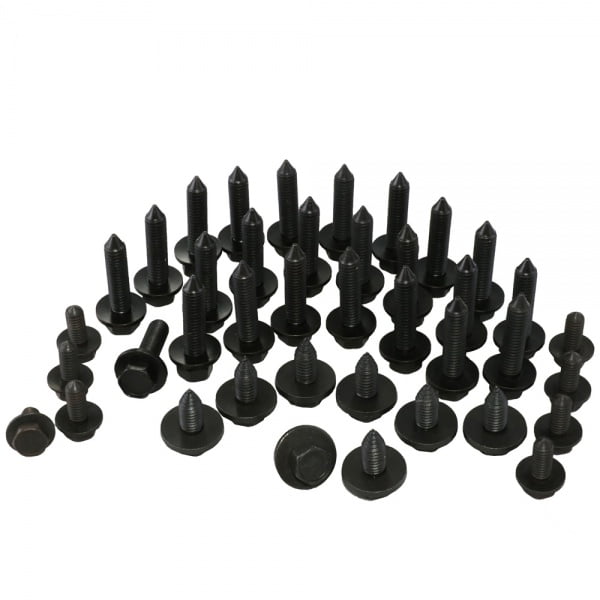 C2 Corvette 1963-1967 Door Hinge Screw Set 32pc