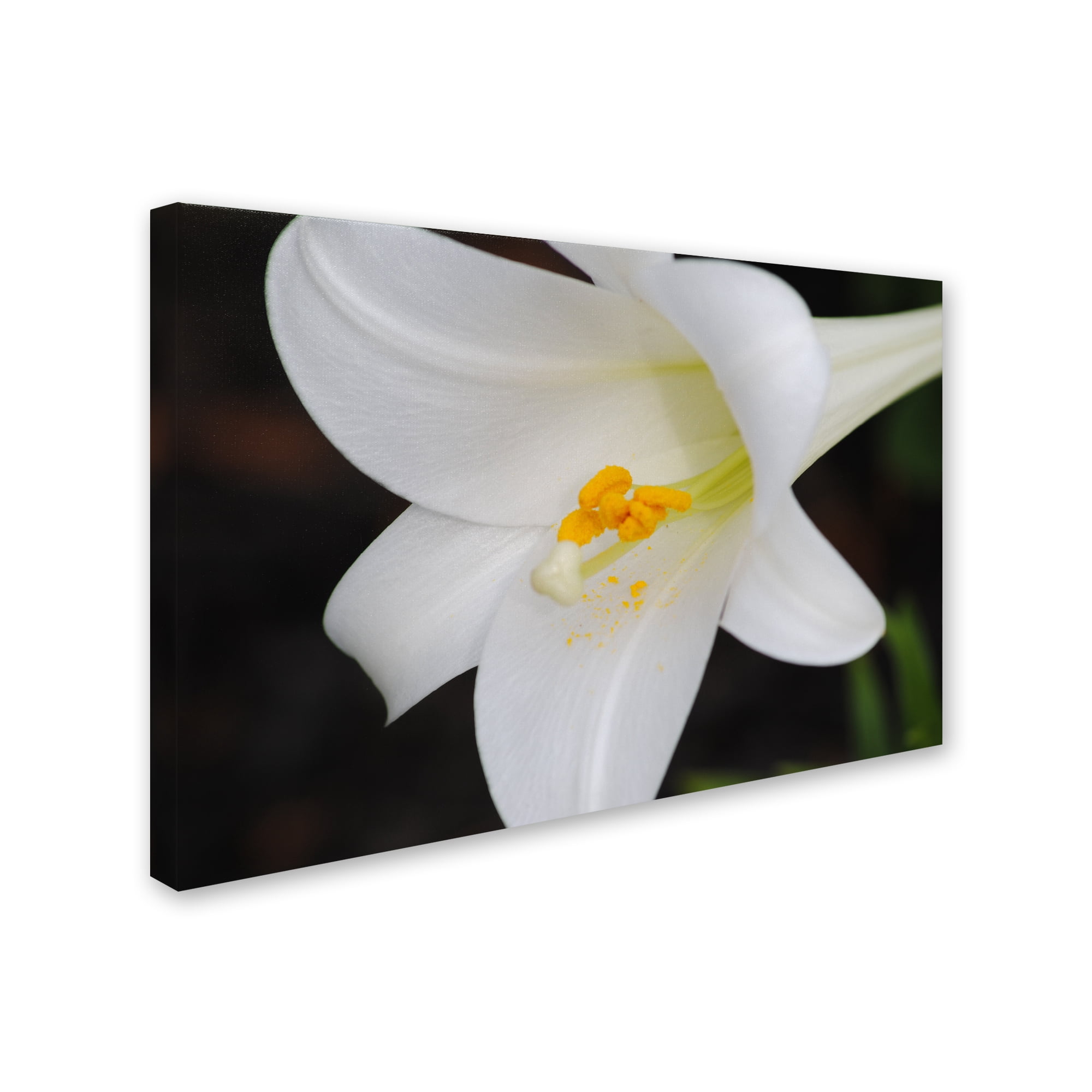 Trademark Fine Art "Easter" Canvas Art by Monica Mize