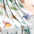 thumbnail image 3 of Alphabet Dinosaur Names Chart Pattern Blanket,Comfortable Soft Lamb Wool Throw Blanket,All Season,Warm Lightweight Blankets for Sofa Bed Couch Living Room Chair,30"x40", 3 of 4