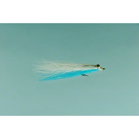 Jackson Cardinal 619-2 Saltwater Fly, #2, Clauser Minnow (Best Saltwater Fly Box)
