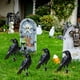 thumbnail image 3 of Estaca De Cuervo Negro Para Jardín, Decoración De Halloween Para Jardín, Fiesta, Árbol De Navidad Al Aire Libre, Accesorio De Exhibición Con Temática Espeluznante, 30x15cm (1 Unidad) Rkxzt, 3 of 8