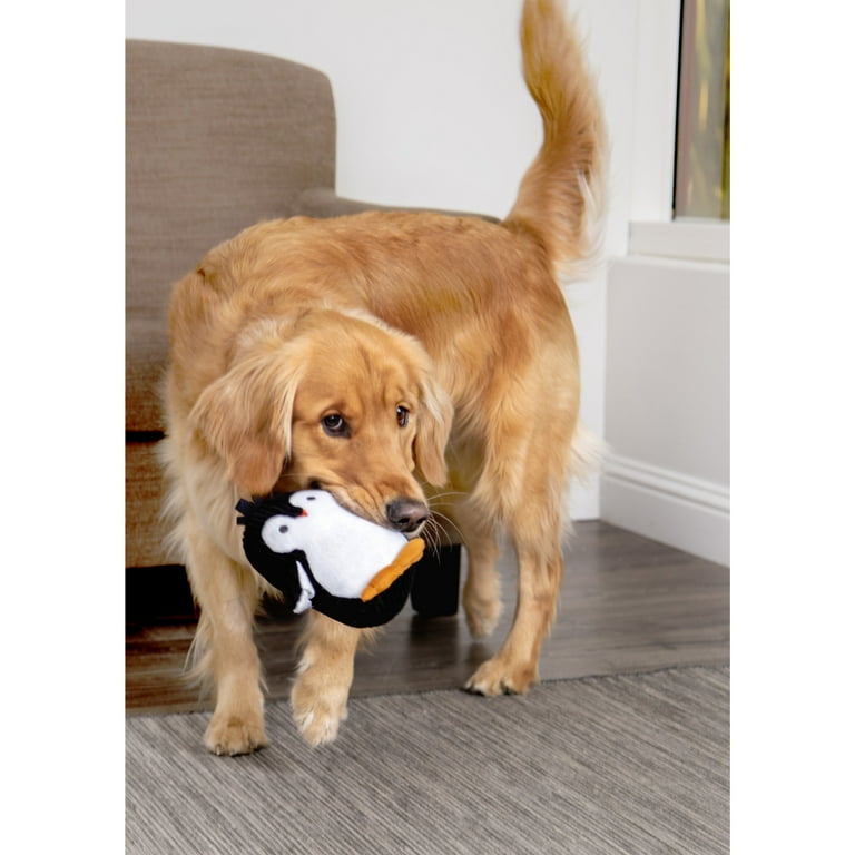 TrustyPup Ultrasonic Silent Squeaker Penguin Dog Toy, Chew