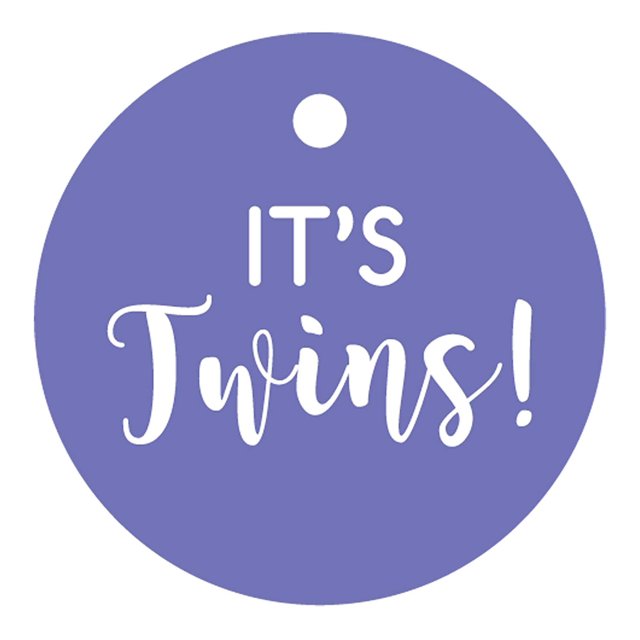 100 PCS It's Twins Cricle Baby Shower Hang Tags Baby Shower Favor Gift Paper Tags
