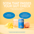 thumbnail image 4 of ARIH Dual Biotic Soda, Functional Prebiotic and Postbiotic Soda, Low Sugar, Peach Mango Horizon, 12 fl oz, 4 of 9