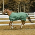 thumbnail image 4 of TuffRider 600 D Comfy Winter Ripstop Turnout Blanket Medium Weight 200 GSM Standard Neck, 4 of 10