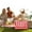 Rouge, variante sur Housse de Pique-Nique 300 X 200 cm Housse de Pique-Nique avec Poignée Aire Ouverte Lavable Recouverte de Housse de Plage de Pique-Nique Tapis de Pique-Nique pour Sorties à la Plage Camping Extérieur Mise de Table pour 6 Napperons pour Table de Cuisine Rigide