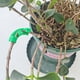 thumbnail image 5 of Entrenador de flexión de plantas de 90 grados | Abrazaderas dobladoras para plantas de entrenamiento de bajo estrés | Reposicionamiento del tallo de la planta de ABS reutilizable | Fácil de instalar, 5 of 7