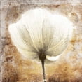 thumbnail image 2 of Grey, Jace 12x12 White Modern Wood Framed Museum Art Print Titled - Golden White Greige, 2 of 4