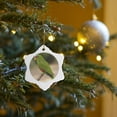 thumbnail image 7 of 3drose, White Fronted Amazon Parrot, Honduras - Sa12 Len0003 - Lisa S. Engelbrecht, 3 inch Snowflake Porcelain Ornament, 7 of 7