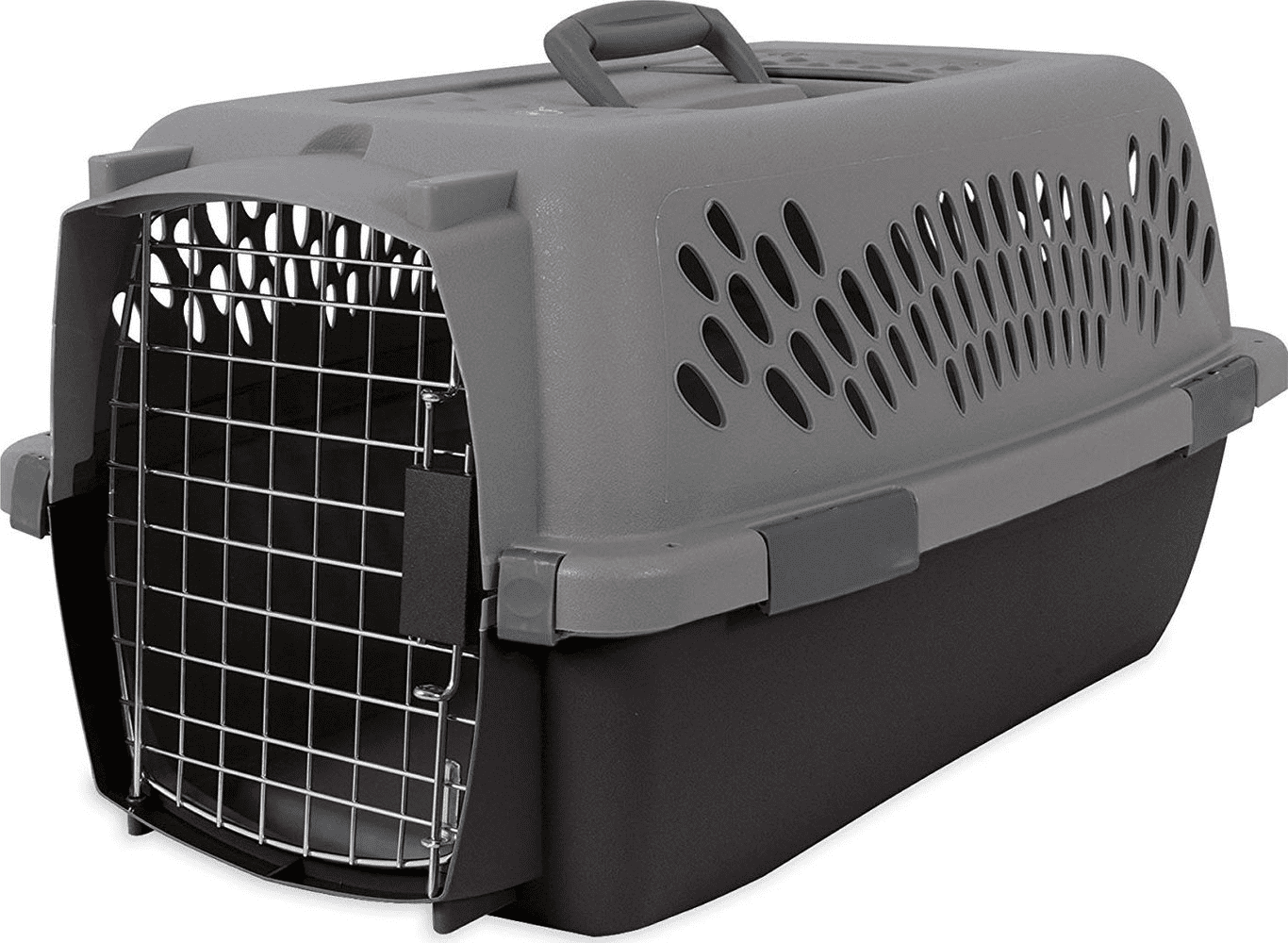 Pet porter cheap