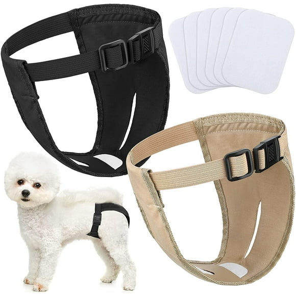 Female Dog Heat Pants