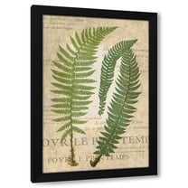 Vision Studio 11x14 Black Modern Wood Framed Wall Art Titled - Fern Folio III