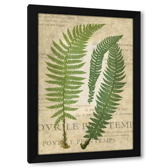 Vision Studio 11x14 Black Modern Wood Framed Wall Art Titled - Fern Folio III
