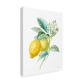 thumbnail image 2 of Trademark Fine Art 'Floursack Lemon II on White' Canvas Art by Danhui Nai, 2 of 4