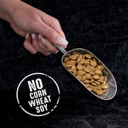 Crave Grain Free Indoor Natural Dry Cat Food With High Protein From Chicken & Salmon, 10 Lb. Bag