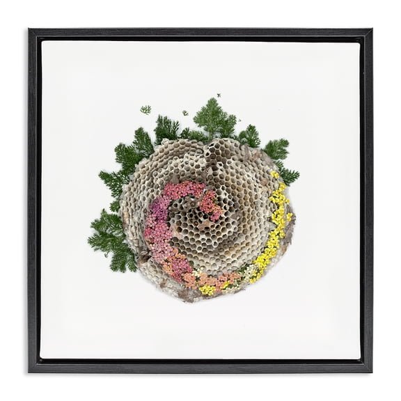 Stupell Industries Honeycomb with Botanicals Black Framed Floater Canvas Wall Art, design by Beth Adoette