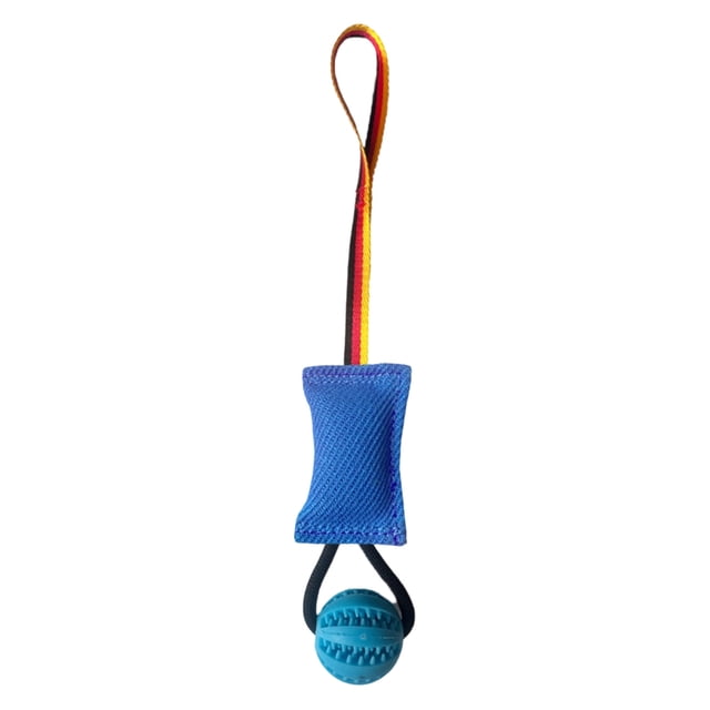Arnés de entrenamiento interactivo de fibra de alta densidad para masticar, con doble costura y correa larga de tela pura, adecuado para uso moderado