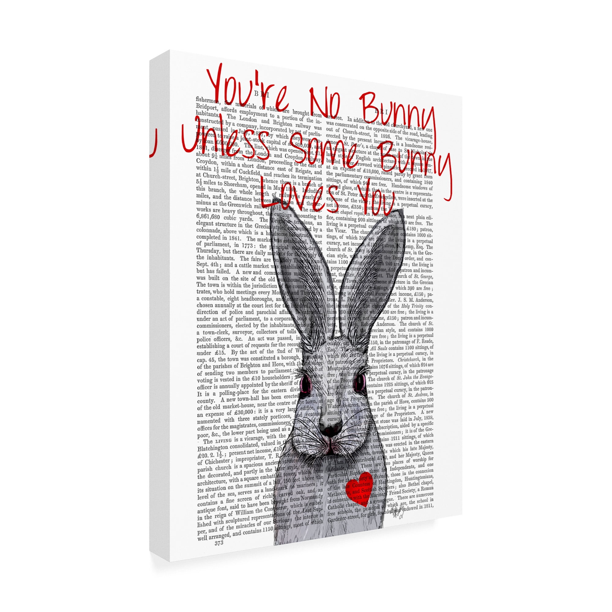 Trademark Fine Art 'Youre No Bunny' Canvas Art by Fab Funky