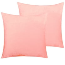 NTBAY 2 Pack Velvet Throw Pillow Cover, Soft Decorative Square Pillowcase, Cushion Cover with Hidden Zipper, 16"x16", Pink