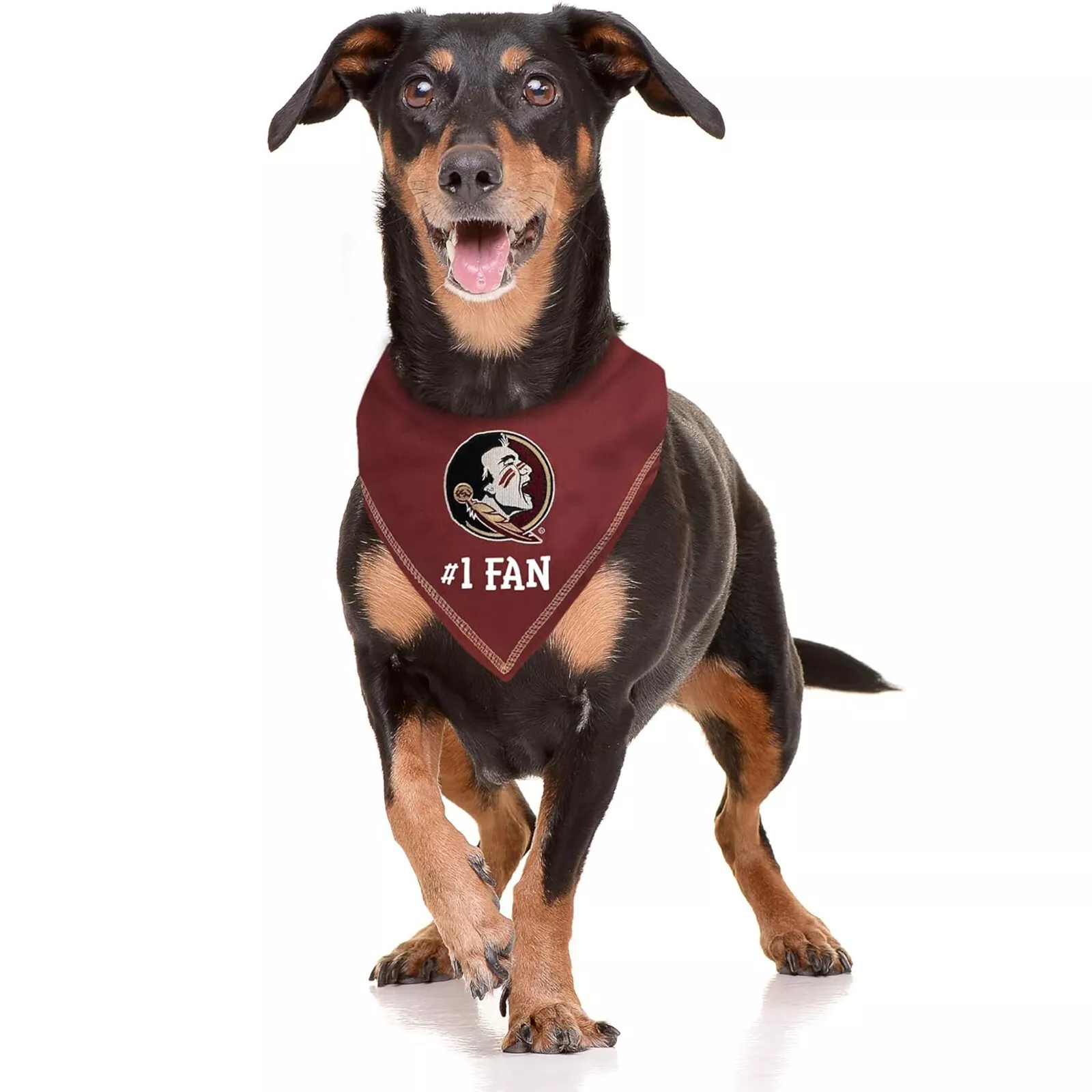 Pets First NCAA Personalized Tie Bandana for Dogs & Cats Sporty Dog Bandana