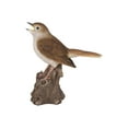 thumbnail image 3 of Hi-Line Gift Ltd. Motion Activated Singing Nightingale Standing ON Stump, Brown, 3 of 6