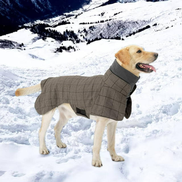 Abrigo de invierno para perros Yinane A prueba de viento XXL