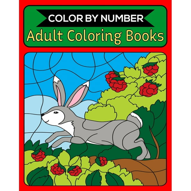 Color By Number Adult Coloring Books: 50 Unique Color By Number Design for drawing and coloring