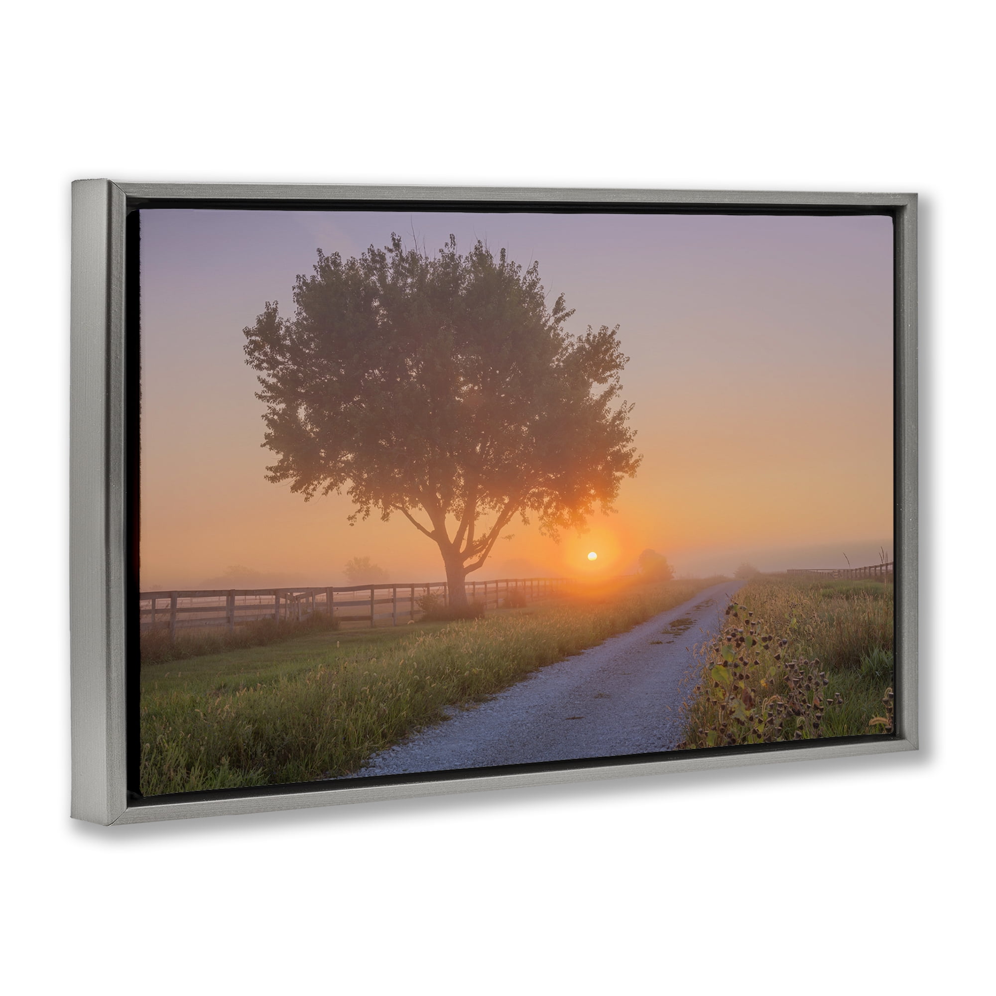 Stupell Industries Flower Lined Path Landscape & Nature Photography Gray Floater Framed Canvas Art Print Wall Art, 31 x 21