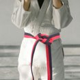 thumbnail image 4 of WASHWEPE Karate Belt Display Traditional Martial Arts Style Black 1Pcs, 4 of 8