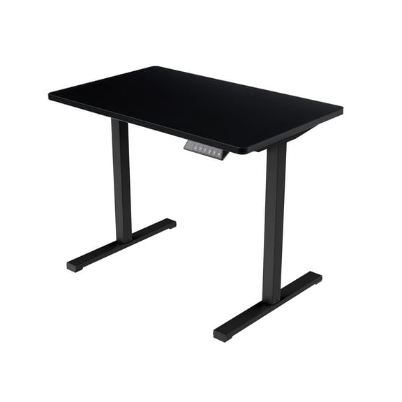 Lisonu Electric Standing Desk 32x20", Motorized Sit Stand Desk for Home Office, Adjustable Height Computer Workstation with Whole-Piece Top, Black Frame & Black Top