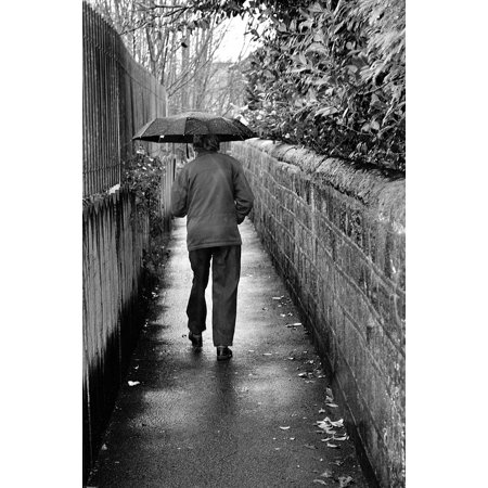 Rainman Poster - LAMINATED POSTER White Man Seasons Winter Old Black Rain Weather Poster Print 24 x 36