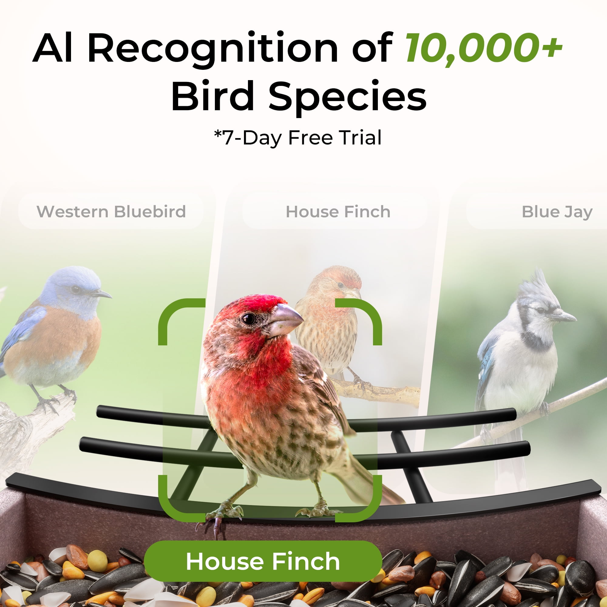TT Nature HDPE Smart Bird Feeder with Camera, Solar Powered, AI Bird Identification, Auto Capture & Instant Alerts,  Perfect Gift for Bird Lovers