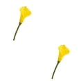 thumbnail image 4 of Toystoory 20 piezas ABS, alcatraces hipoalergénicos no tóxicos y seguros para gatos y perros, ramo Artificial amarillo Amarillo 2Conjunto, 4 of 6