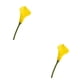 thumbnail image 3 of Ramos de alcatraces no tóxicos Naiovety 20 unids/set Amarillo 2Conjunto, 3 of 6
