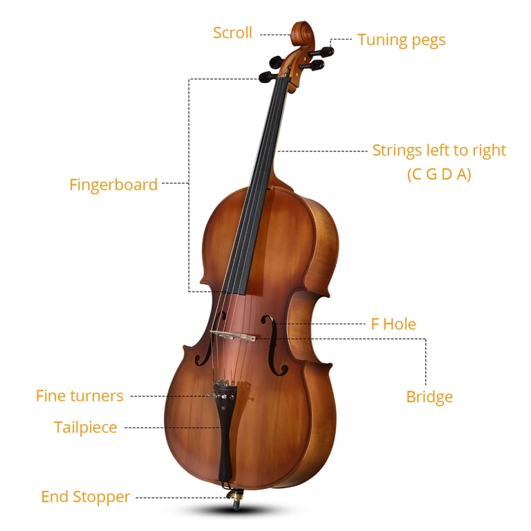 Ktaxon 4/4 Full Size Cello Set with Bag, Bow, Rosin & Bridge