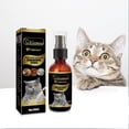 thumbnail image 1 of 4PCS 30ML Pet Ringworm Spray Professional Topical Antipruritic Spray Cat Accessories, 1 of 6