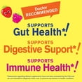 thumbnail image 5 of WellYeah Probiotics for Kids Gummies -10 Billion CFU -For Gut Health, Immune Health and Digestive Support -Berry Flavor Chewable Supplement -Vegetarian, Non GMO, Gluten Free Kids Probiotic -60 Gummies, 5 of 5