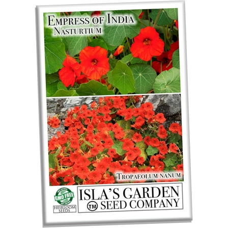 Empress of India Nasturtium Seeds (Tropaeolum nanum) - 50  Non-GMO Heirloom Flower Seeds for Planting by Isla's Garden Seeds