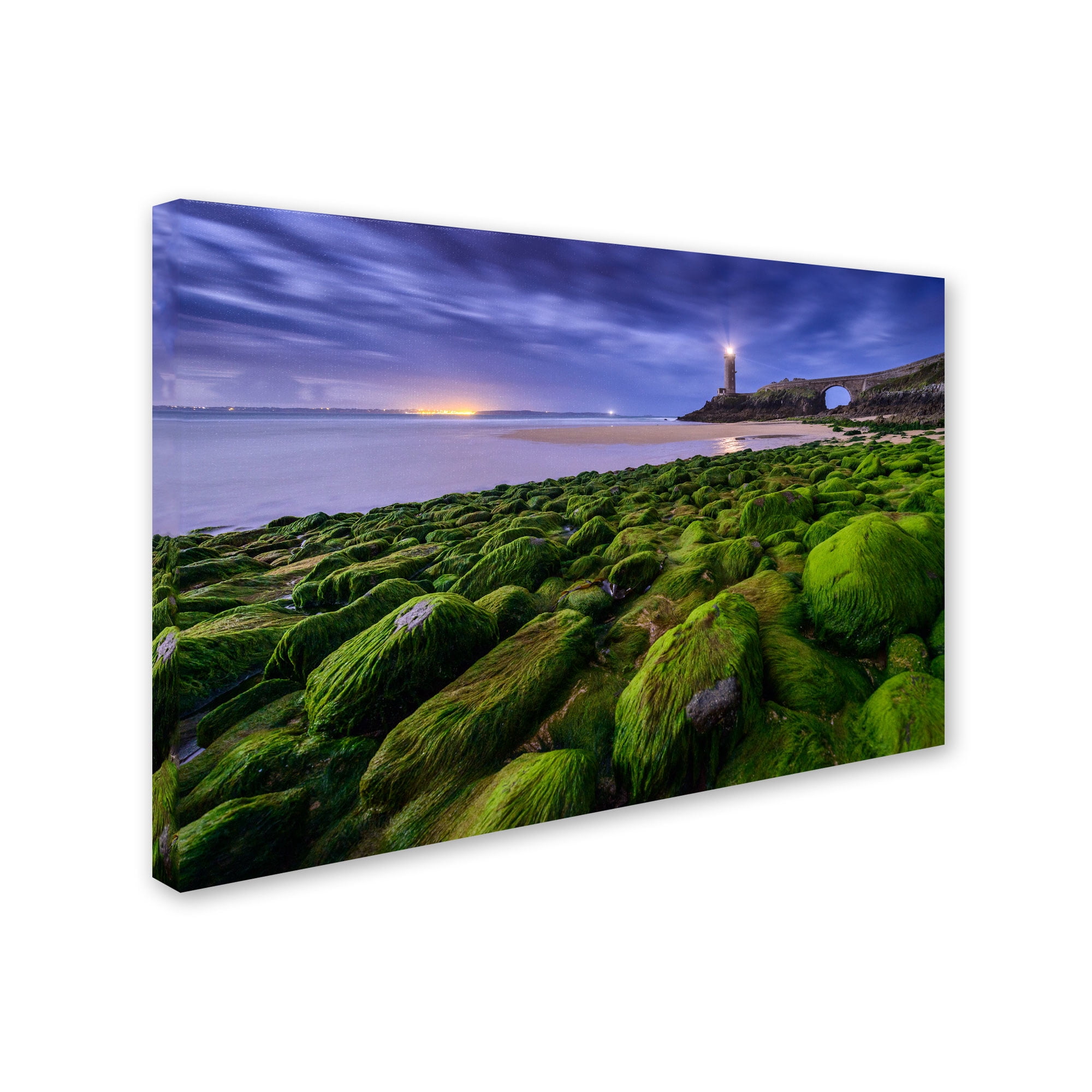 Trademark Fine Art "Full Moon in Brittany" Canvas Art by Mathieu Rivrin