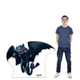 thumbnail image 3 of Cardboard People Night Fury Life Size Cardboard Cutout Standup - How to Train Your Dragon (2010 Film), 3 of 3