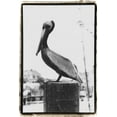 thumbnail image 2 of DeNardo, Laura 11x14 Gold Ornate Wood Framed with Double Matting Museum Art Print Titled - Pelican Perch, 2 of 4