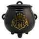 thumbnail image 4 of Galletero de Cerámica Decorativo, Caldero Mágico Harry Potter en 3D con Tapa Hermética y Caja de Regalo, 4 of 7