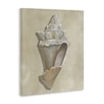 thumbnail image 2 of Stupell Industries Coastal Tan Toned Conch Shell Canvas Art, 36 x 48, by Michael Willett, 2 of 7