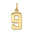thumbnail image 5 of 14k Yellow Gold Casted Small Polished Number 9 Charm Pendant, 5 of 7