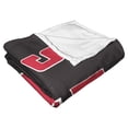 thumbnail image 4 of The Northwest 1COL-23600-0105-OOF 50 x 60 in. NCAA San Diego State University Alumni Silk Touch Throw Blanket, 4 of 5