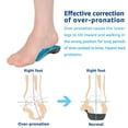 thumbnail image 4 of DR. POTTER+ 3/4 Orthotic Insoles for Plantar Fasciitis Relief, High Arch Support Inserts for Flat feet, over-Pronation and Heel Pain (Size: Medium), 4 of 6