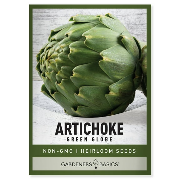Green Globe Artichoke Seeds