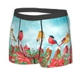 thumbnail image 2 of Kll Winter Birds On The Fence Men'S Cotton Boxer Briefs Underwear-Medium, 2 of 9