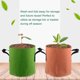 thumbnail image 1 of unbranded 4Ud Bolsa Para Plantar De Tela No Tejida Con Gran Capacidad Y Asa, 1 of 5